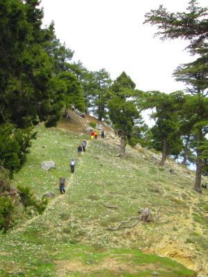 ADRASAN GELİDONYA FENERİ KORSAN KOYU UZUN