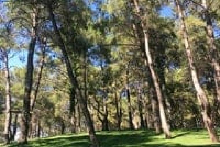 Akkoç - Garkın Çeşmesi - Bayatbademleri - Korucak (Yeni Parkur)